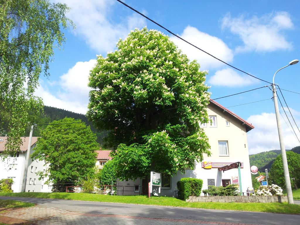 Guest House Pod Lesem Merklín Exterior foto